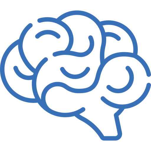 brain-3