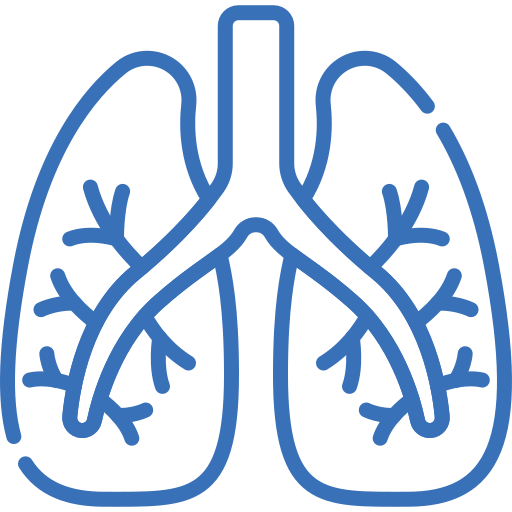 lungs